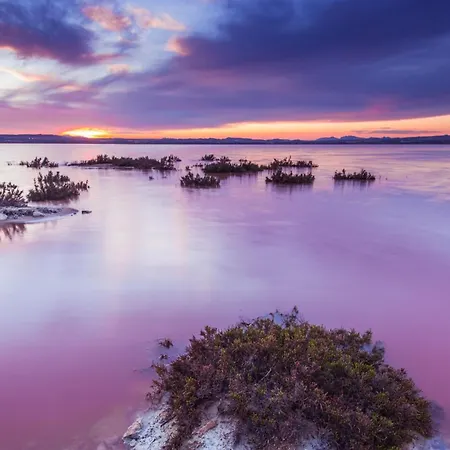 Sunny Flat 500 Metres From The - Centre Apartman *