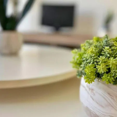 شقة Sunny Flat 500 Metres From The - Centre تورّيفيِخا