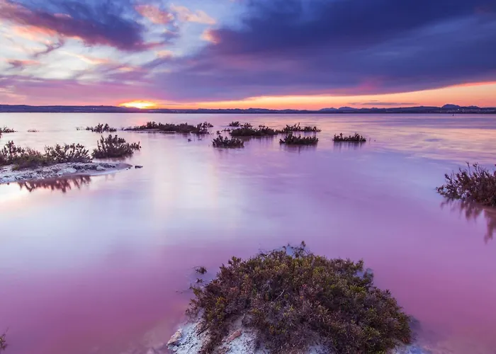 Sunny Flat 500 Metres From The - Centre Apartman *