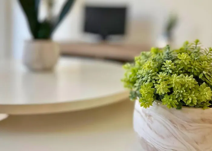 Apartman Sunny Flat 500 Metres From The - Centre Torrevieja